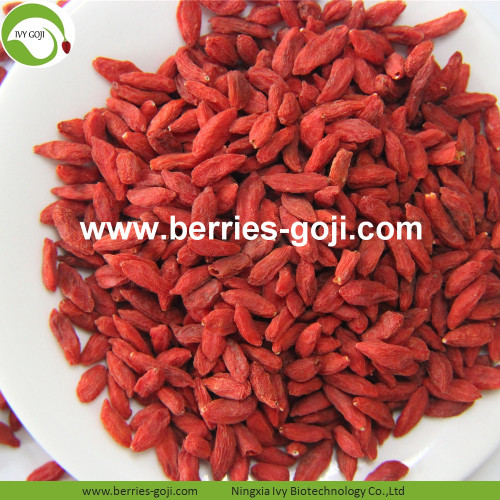 Factory Supply Nutrition Dried Lycium Berry