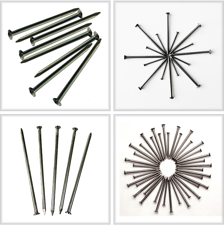 hot selling common nail iron nail factory