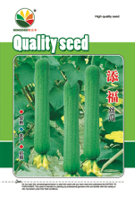 Sponge cucumber seed Fuzzy melon seeds Sponge cucumber seeds for growing