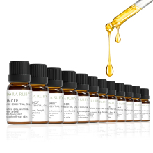 Nature's Touch: Eucalyptus & Rose Essential Oils for Diffusers