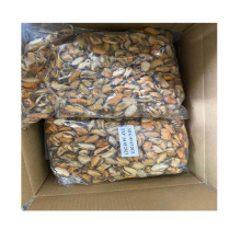 new season blue mussel mussel product detail good quality blue mussel detail