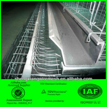 poultry cage / 3 layer cage system