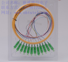 12core Pigtail SC/APC SM