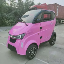 New Arrival EEC Electric City Cargo Van with EEC