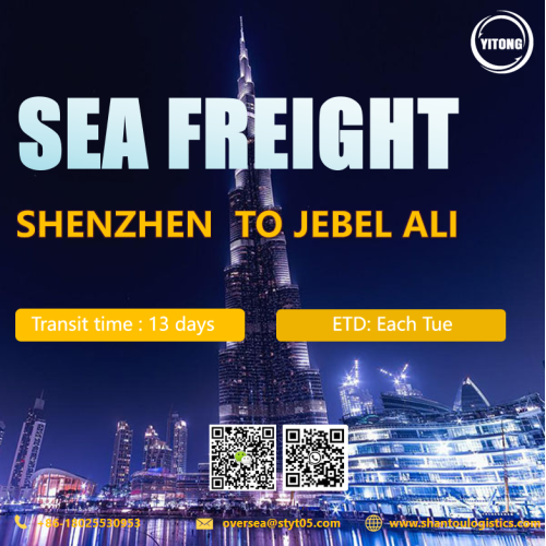 Freight de mer de Shenzhen à Jabel Ali UAE