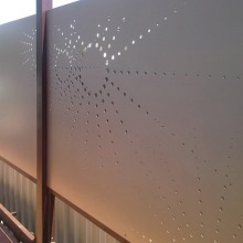 Modern Decorative Garden Fencing