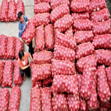 Wholesale high quality cheap onion bag