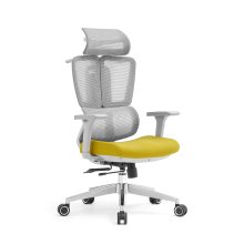 Ergonomic Swivel Mesh Executive Office Chair for Staff Computers