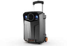 Best Price 8inch Trolley DJ Speaker