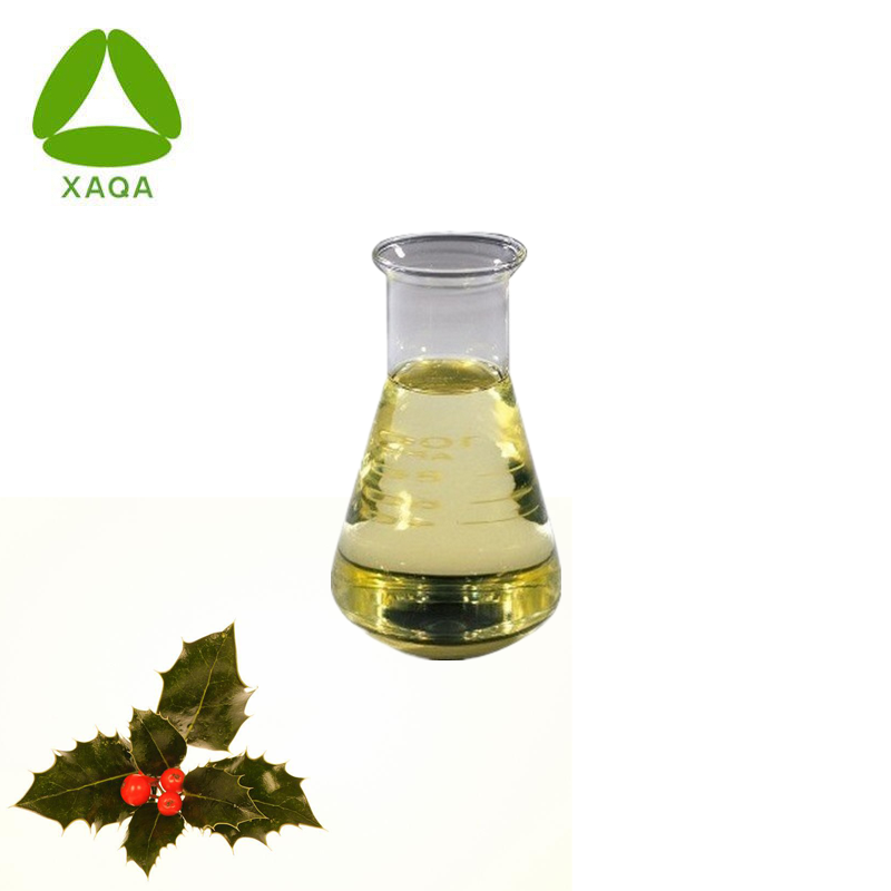 Naturaleza orgánica Holly Extracto de hierba de invierno Aceite esencial