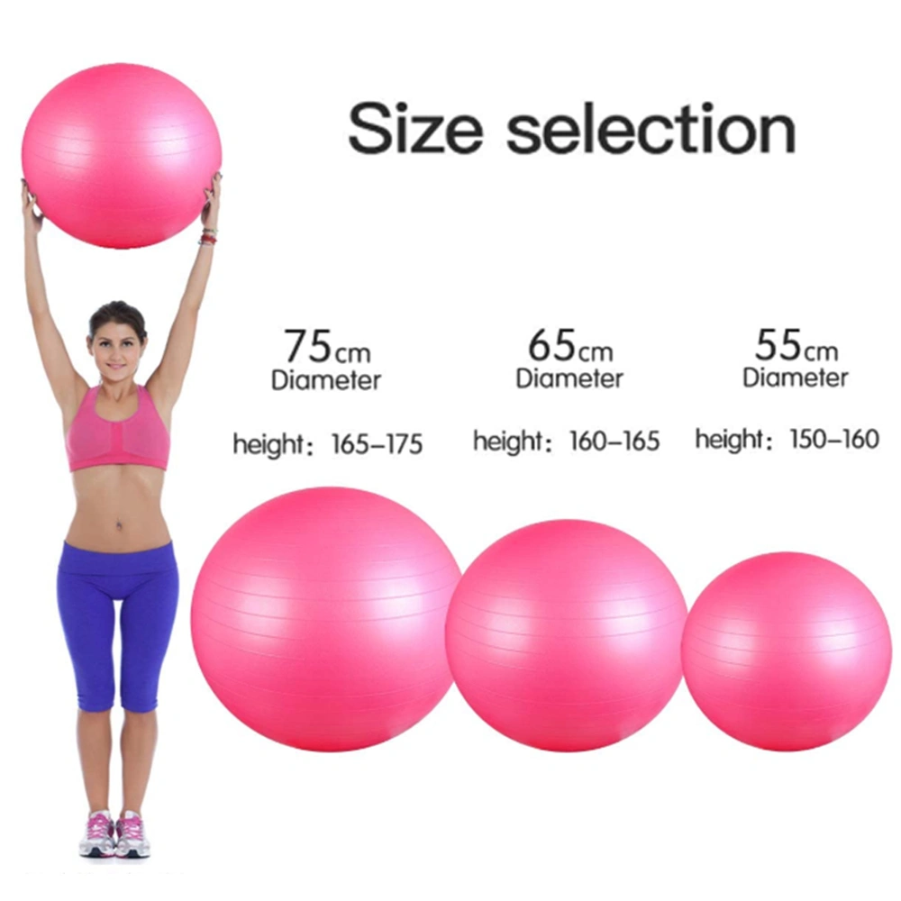 2021 Hot Massage Bosu Balance Exercise Pilates Gym Yoga Ball