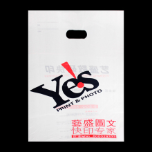 Wholesale Brand Name Bags Nice PE Bag