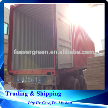 China Sea Freight Forwarding to USA