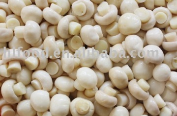 mushroom agaricus in conserve