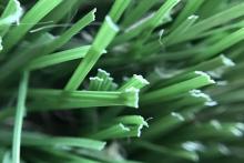 Artificial Grass for Football, MT-Memo-Plus