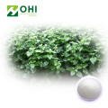 Andrographis Paniculata Extract Andrographolide Powder