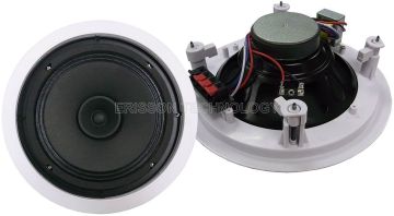 8 Inch 25 Watts Ceiling Mounted Speakers For Shopping Plaza