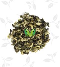 Aroma Snail Fresh Taste Green tea