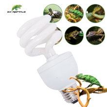 Wholesale Reptile Supplies: Vivarium UV LED Bulbs & Lamps
