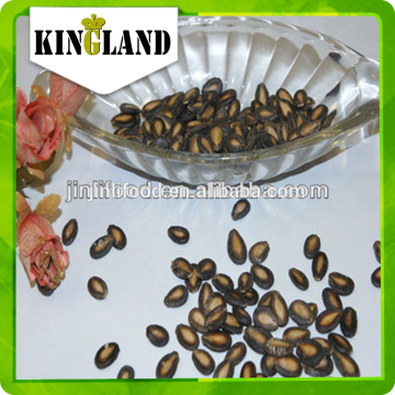 chinese black watermelon seeds