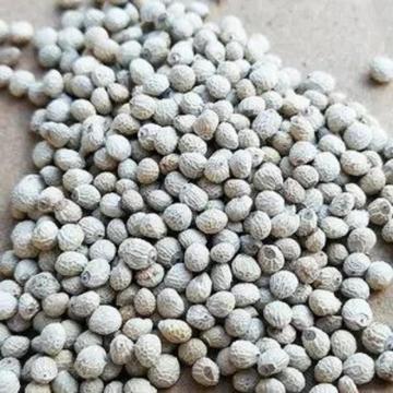 Perilla Seed In Chinese Medicine