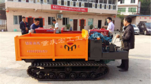 Yuhong remote-controlled crawler transporter