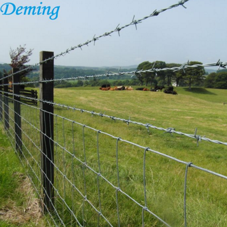 Factory Sales 25kgs Galvanized Barbed Fencing Wire