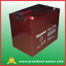 UPS Rechargeable Storage Battery NP85-12-12v85AH