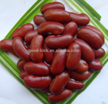 New Crop Red Kidney Beans Price