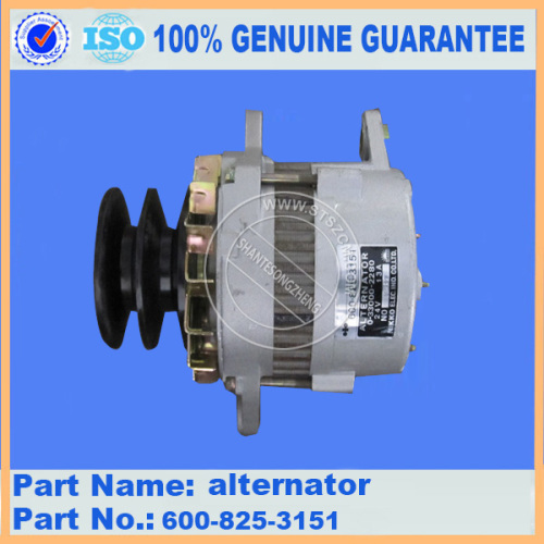 Alternatore A 600-825-3151 per il motore Komatsu SA6D125E-2GD-W