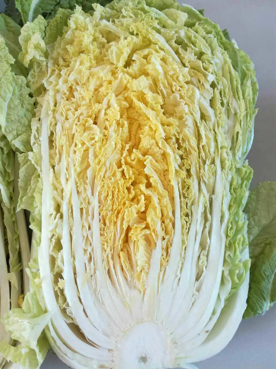 New Crop Fresh Chinese Cabbage