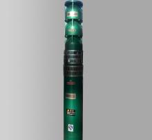 Centrifugal Water Pump Motor QJ Vertical