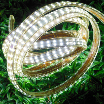 110V/220V 2835 Flexible Double Sided LED Strip Light