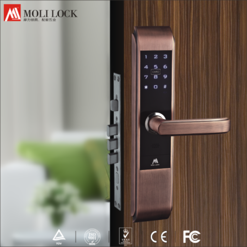 Electronic Password Card Door Locks For Homes, Dubai Market Door Locks