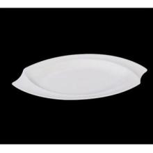 Porcelain Plate Irregularly Shaped