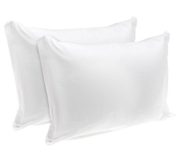 Soft pillow hotel throw pillow