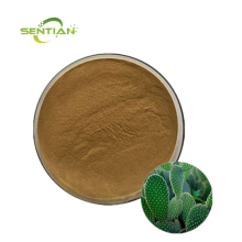 Natural Cactus Extract powder