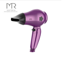 Professional Ionic Function Salon Hair Dryer