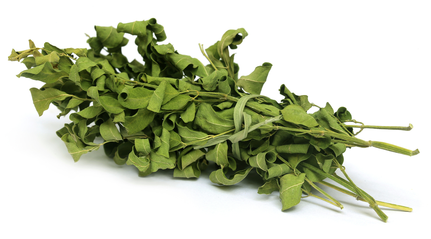 Laurel leaf moringa leaves leaf and mesh continuous drying machine for tea and other factory direct sales price