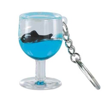 customized key chain with floating