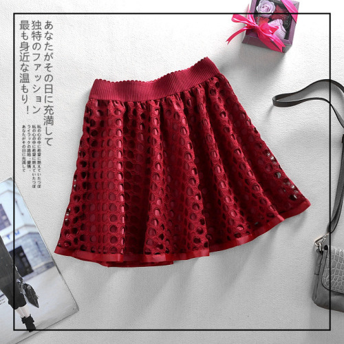 Korean Spring New Style Slim Hollow Skirt BQ3303