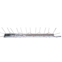Stainless Steel Deterrent Bird Spikes Plastic Pest