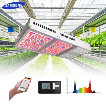 Green Indoor Vegetable Horticulture Grow Light