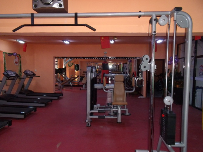 Commercial Prone Leg Curl Gym Equipment