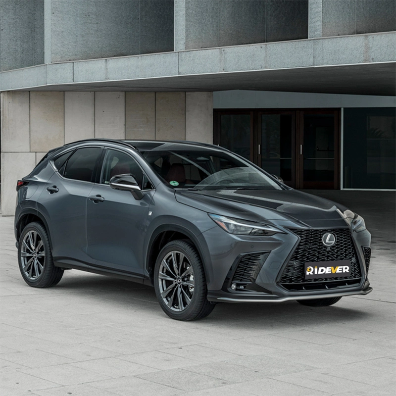 Ridever Electric New Cars for Sale Electric Car Lex Us Nx New Energy