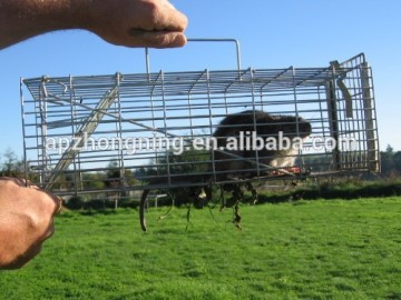 Poultry Husbandry Equipment Cage