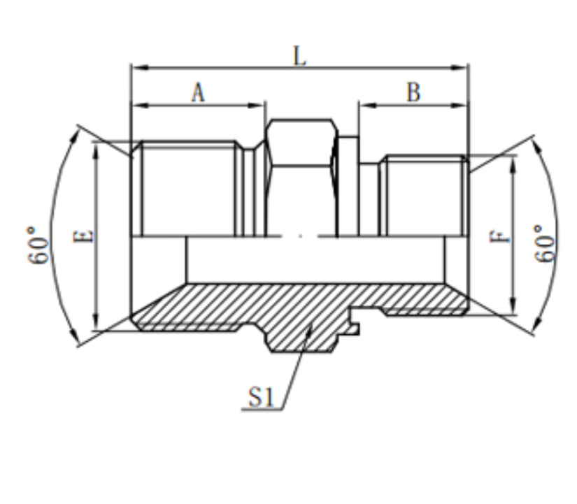 Carbon Steel Fitting