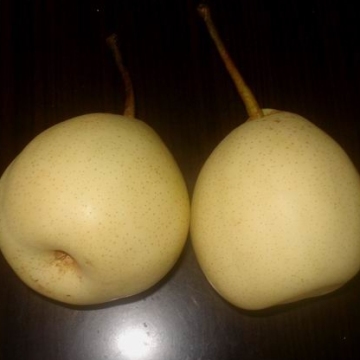 Good taste and good quality of Ya pear