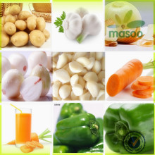 china fresh habanero peppers