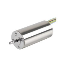 40 Brushless DC Motor